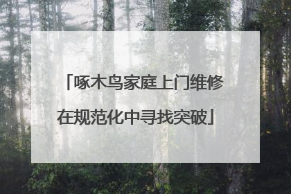 啄木鸟家庭上门维修在规范化中寻找突破