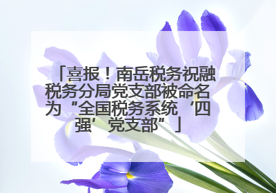 喜报！南岳税务祝融税务分局党支部被命名为“全国税务系统‘四强’党支部”