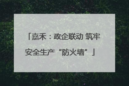 嘉禾：政企联动 筑牢安全生产“防火墙”