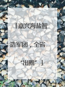 嘉兴海盐智造军团，全省“出圈”