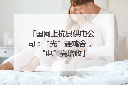 国网上杭县供电公司：“光”耀鸡舍，“电”亮增收