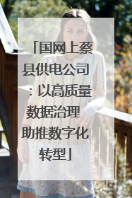 国网上蔡县供电公司：以高质量数据治理 助推数字化转型