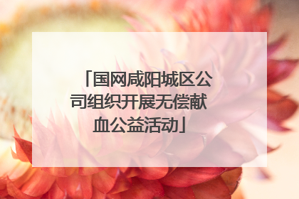 国网咸阳城区公司组织开展无偿献血公益活动