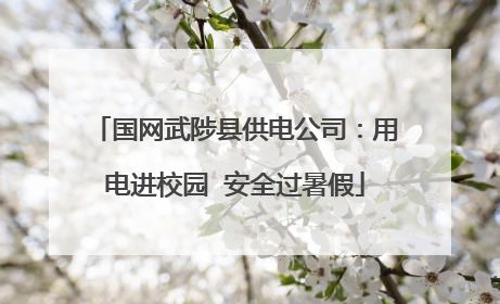 国网武陟县供电公司：用电进校园  安全过暑假
