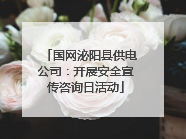 国网泌阳县供电公司：开展安全宣传咨询日活动