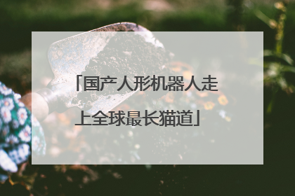 国产人形机器人走上全球最长猫道