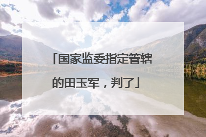 国家监委指定管辖的田玉军，判了
