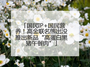 国民IP+国民营养！高金联名熊出没推出新品“高蛋白黑猪午餐肉”