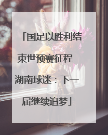 国足以胜利结束世预赛征程 湖南球迷：下一届继续追梦