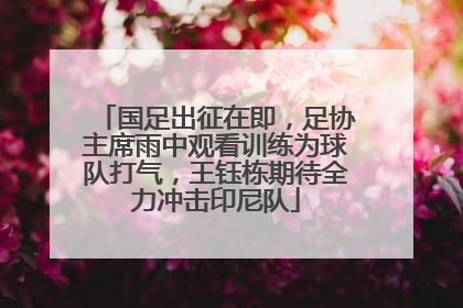 国足出征在即，足协主席雨中观看训练为球队打气，王钰栋期待全力冲击印尼队