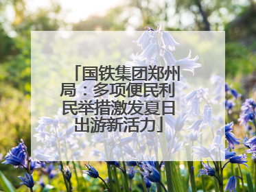 国铁集团郑州局：多项便民利民举措激发夏日出游新活力