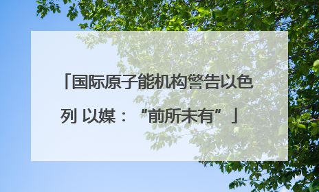 国际原子能机构警告以色列 以媒：“前所未有”