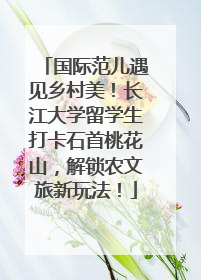 国际范儿遇见乡村美！长江大学留学生打卡石首桃花山，解锁农文旅新玩法！