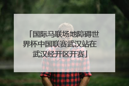 国际马联场地障碍世界杯中国联赛武汉站在武汉经开区开赛