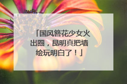 国风簪花少女火出圈，昆明真把墙绘玩明白了！