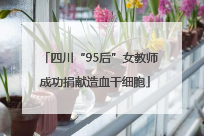 四川“95后”女教师成功捐献造血干细胞