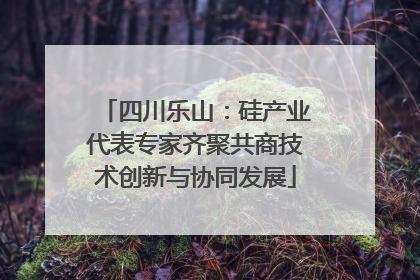 四川乐山：硅产业代表专家齐聚共商技术创新与协同发展