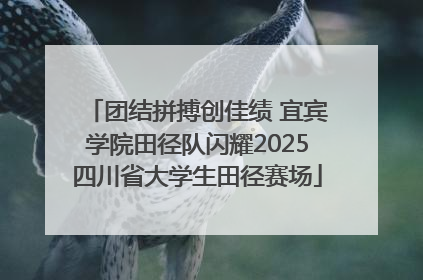 团结拼搏创佳绩 宜宾学院田径队闪耀2025四川省大学生田径赛场