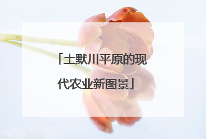 土默川平原的现代农业新图景