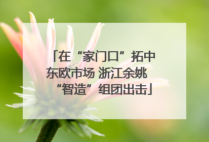 在“家门口”拓中东欧市场 浙江余姚“智造”组团出击