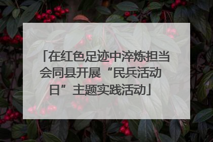 在红色足迹中淬炼担当 会同县开展“民兵活动日”主题实践活动