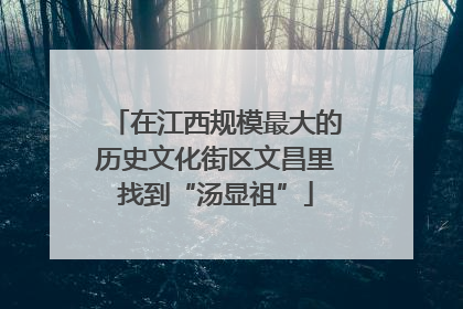 在江西规模最大的历史文化街区文昌里找到“汤显祖”