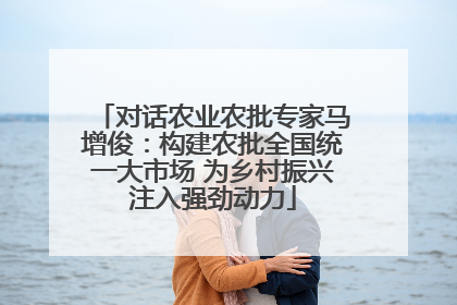 对话农业农批专家马增俊：构建农批全国统一大市场 为乡村振兴注入强劲动力