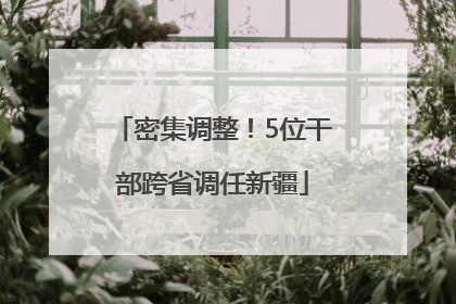密集调整！5位干部跨省调任新疆