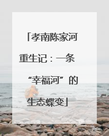 孝南陈家河重生记：一条“幸福河”的生态蝶变