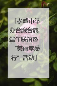 孝感市举办台胞台属端午联谊暨“美丽孝感行”活动