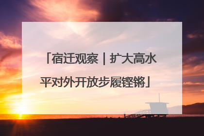 宿迁观察｜扩大高水平对外开放步履铿锵