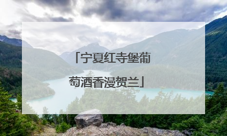 宁夏红寺堡葡萄酒香漫贺兰