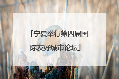 宁夏举行第四届国际友好城市论坛