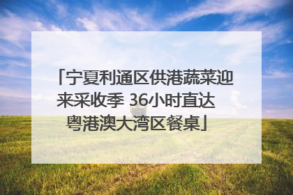 宁夏利通区供港蔬菜迎来采收季 36小时直达粤港澳大湾区餐桌