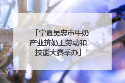 宁夏吴忠市牛奶产业挤奶工劳动和技能大赛举办