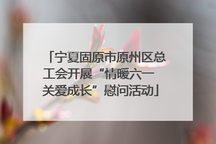 宁夏固原市原州区总工会开展“情暖六一 关爱成长”慰问活动