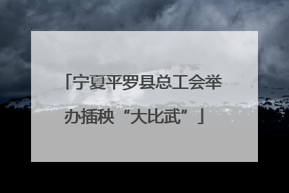 宁夏平罗县总工会举办插秧“大比武”