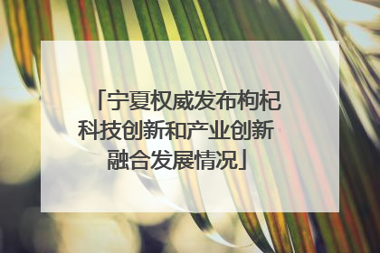 宁夏权威发布枸杞科技创新和产业创新融合发展情况