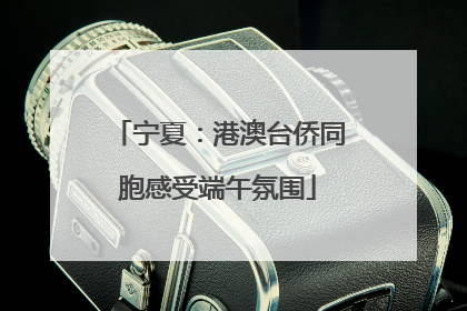 宁夏：港澳台侨同胞感受端午氛围