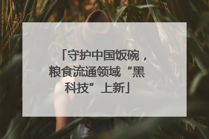 守护中国饭碗，粮食流通领域“黑科技”上新