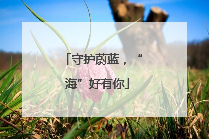 守护蔚蓝，“海”好有你