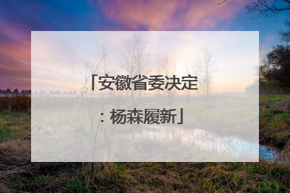 安徽省委决定：杨森履新