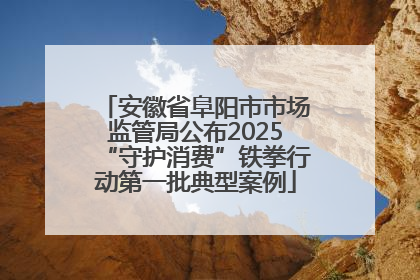 安徽省阜阳市市场监管局公布2025“守护消费”铁拳行动第一批典型案例