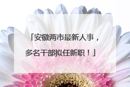 安徽两市最新人事，多名干部拟任新职！