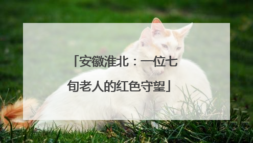 安徽淮北：一位七旬老人的红色守望