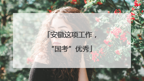 安徽这项工作，“国考”优秀