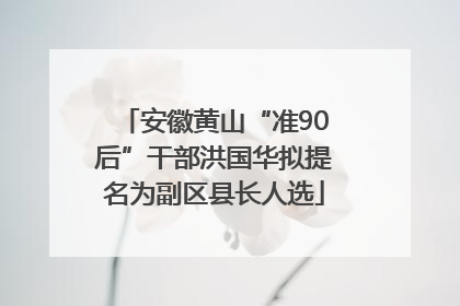 安徽黄山“准90后”干部洪国华拟提名为副区县长人选