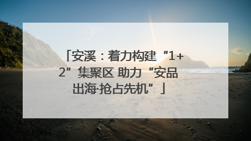 安溪：着力构建“1+2”集聚区 助力“安品出海·抢占先机”