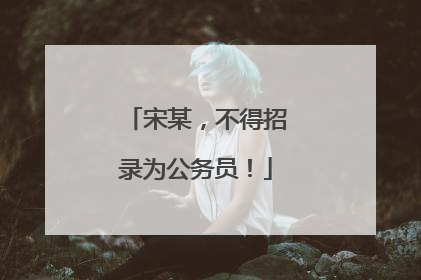 宋某，不得招录为公务员！