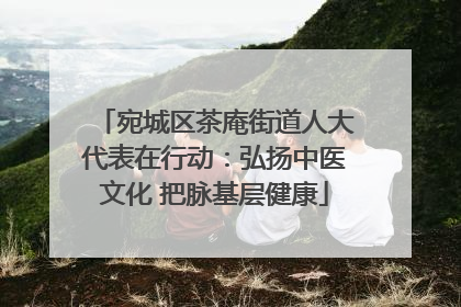 宛城区茶庵街道人大代表在行动：弘扬中医文化 把脉基层健康